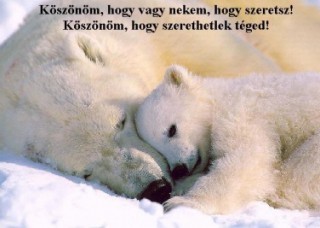 Köszönöm, hogy szeretsz...