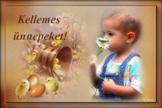 Kellemes ünnepeket...