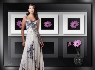 Gerberák - szép kép...