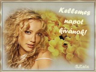 Kellemes napot kívánok...