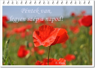Legyen szép napod...