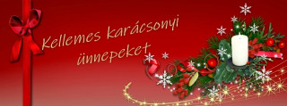 Kellemes karácsonyi ünnepeket!