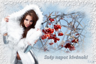 Szép téli napot!