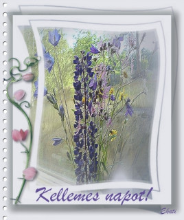 Kellemes, szép napot...