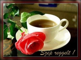 Szép reggelt!