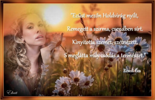 Naplemente, szép idézet...