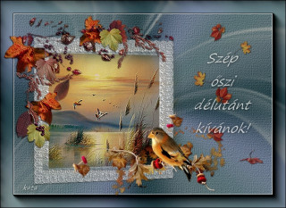 Szép őszi délutánt