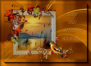 Szép őszi délutánt